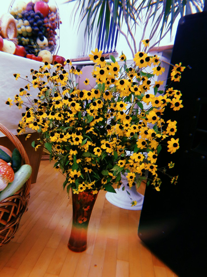 Цветы // Flowers