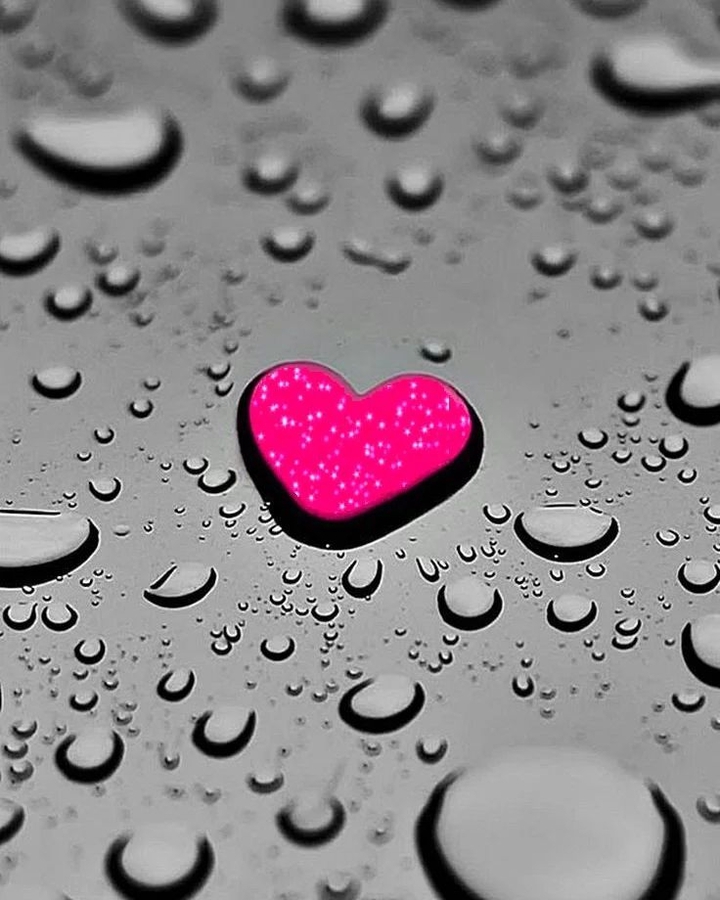 untold feeling