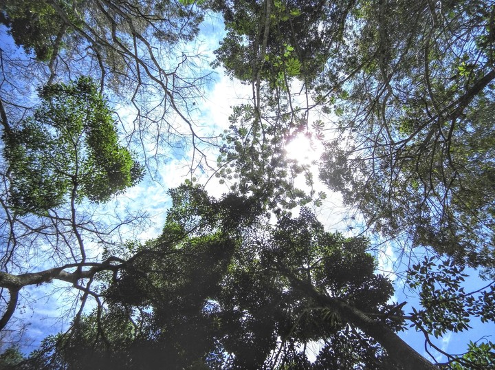 look above