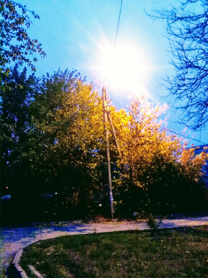 autumn morning
