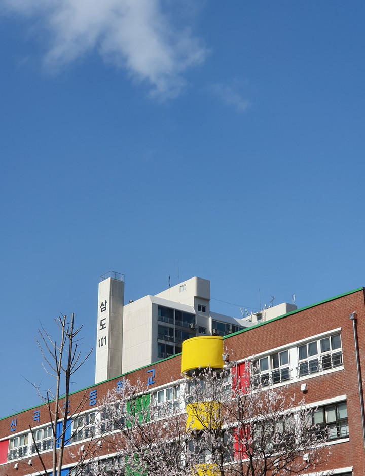 spring and elementary school