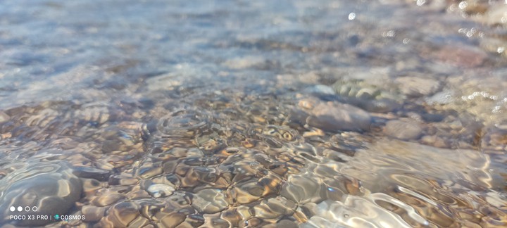 sea