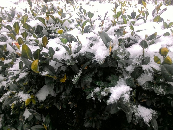 winter