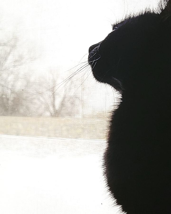 valentina
