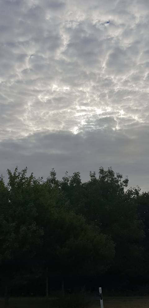 Wolken