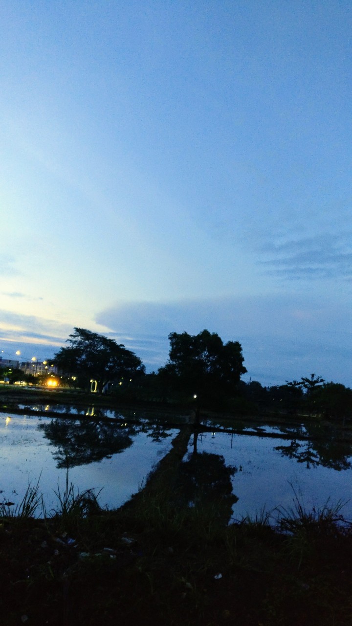 beauty at dawn