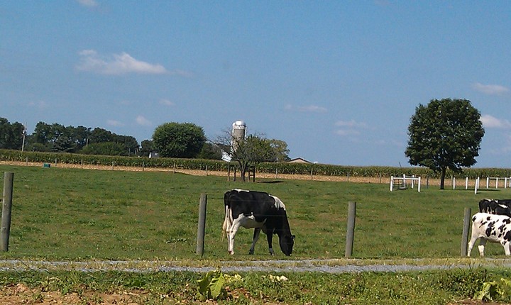 Farm Country