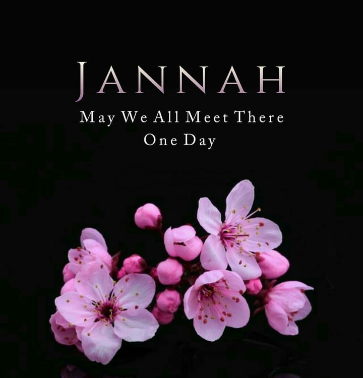 jannah...