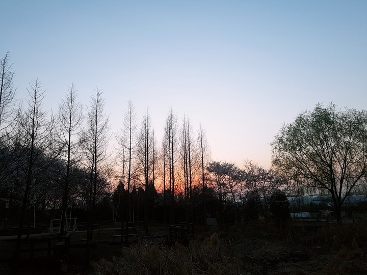 저녁