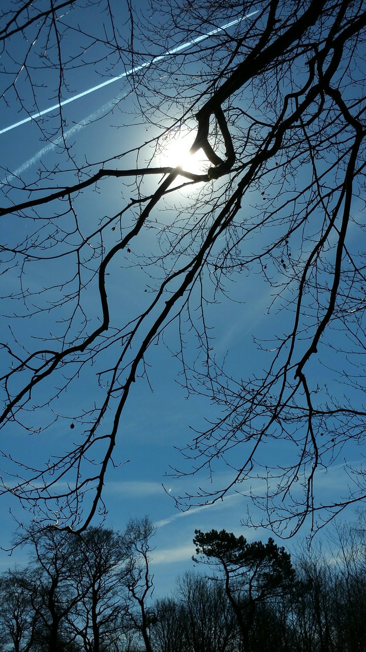 Winter sky
