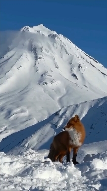 Камчатка