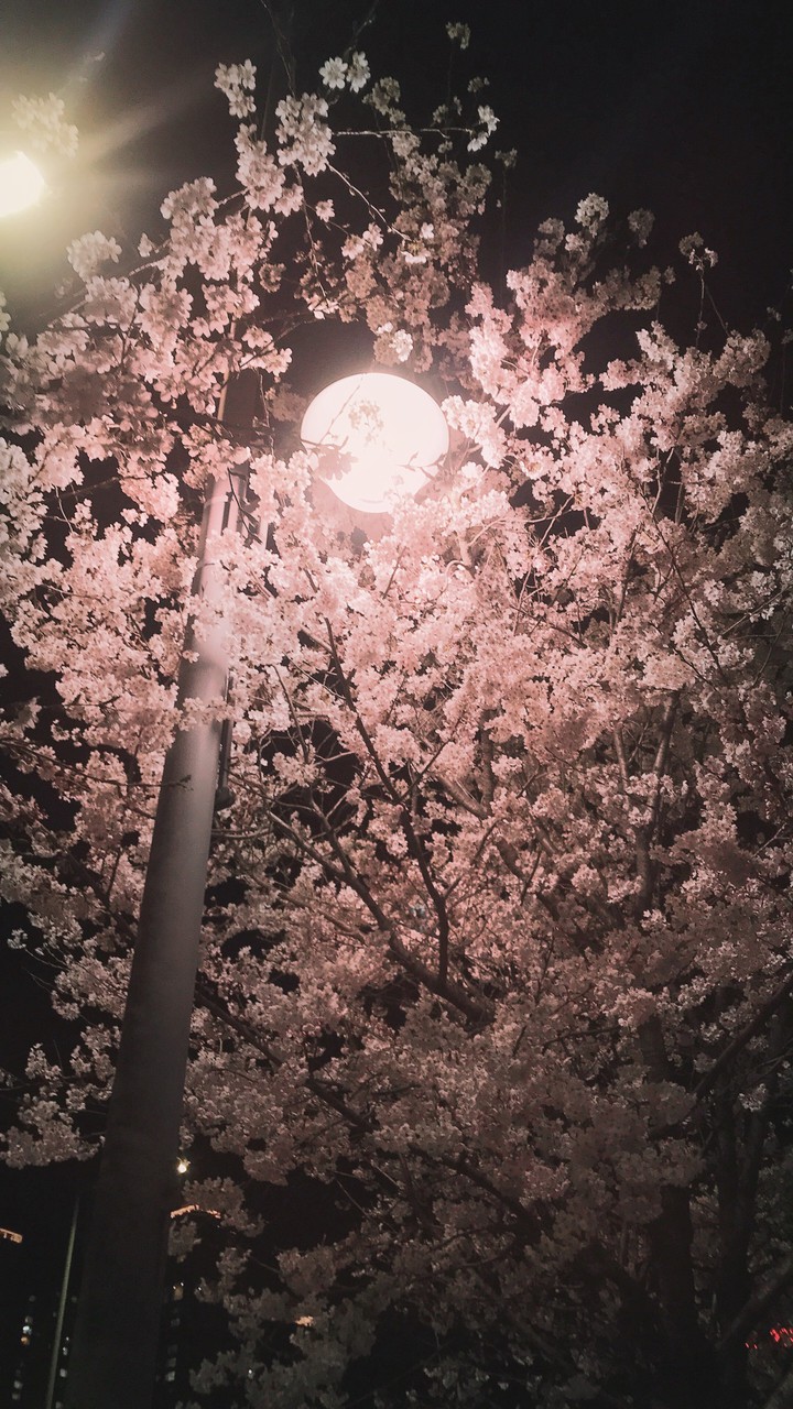 spring6