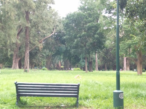 A lone