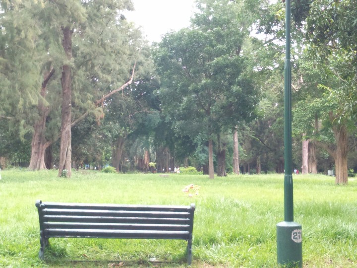 A lone