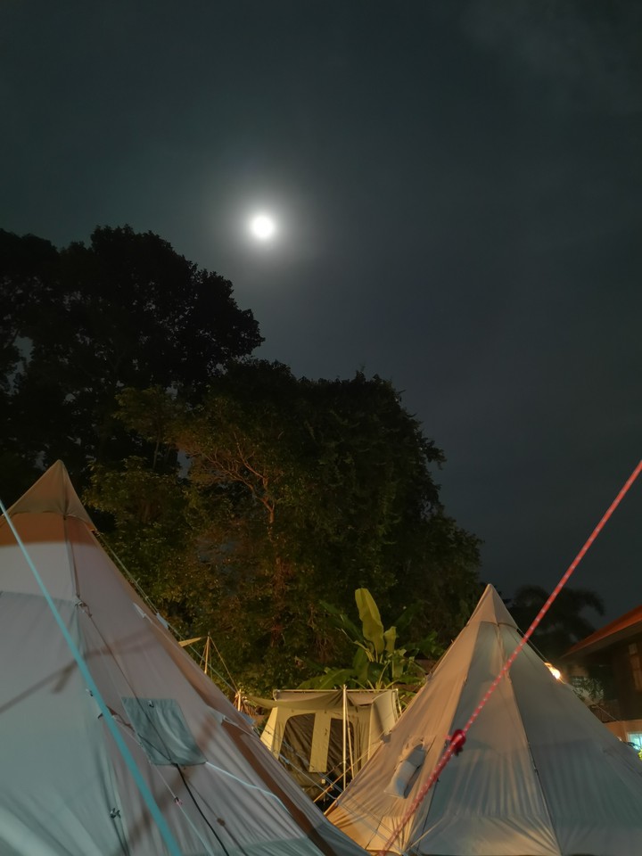 Moon Light