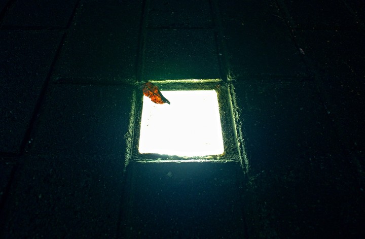light