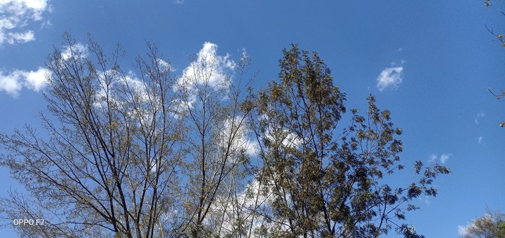 Nature