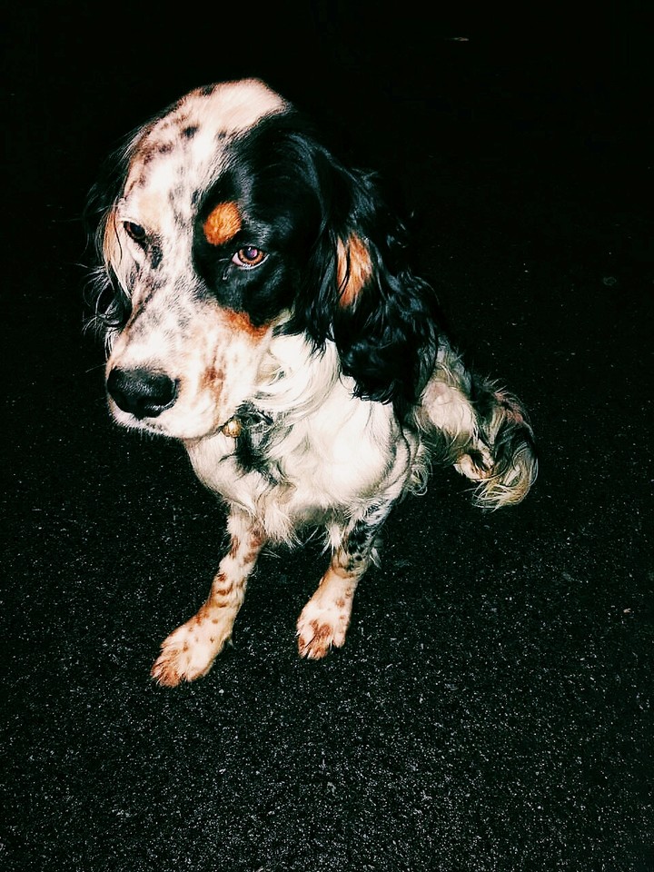 Ares