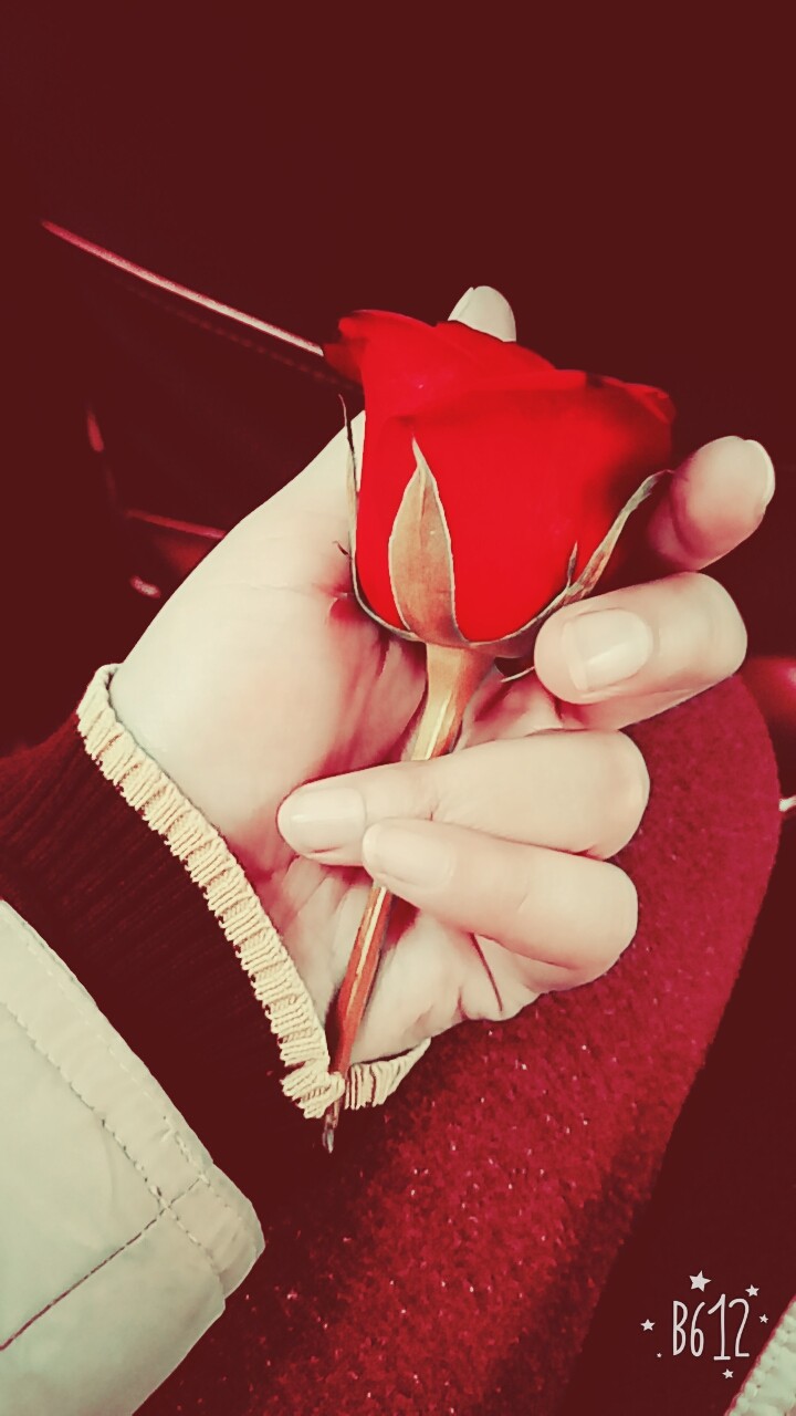 love#rose#beautifulhand