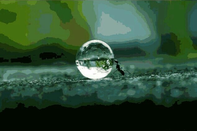 drop