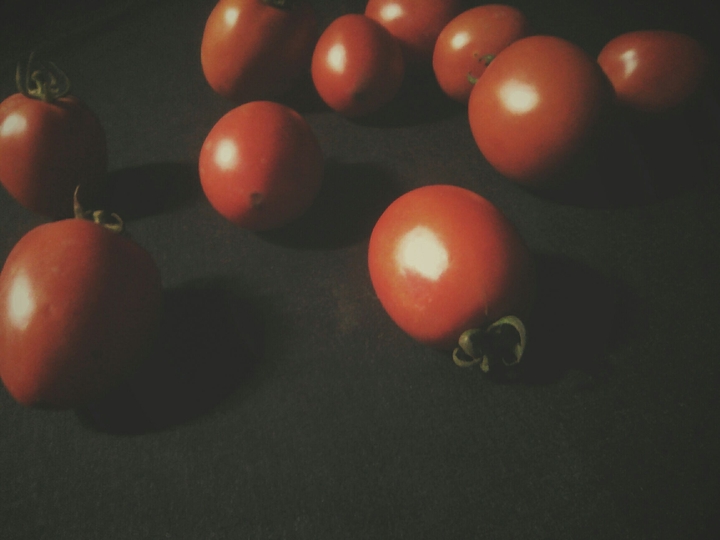 tomatoes 