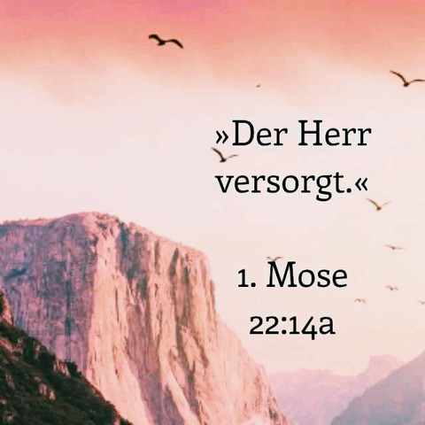 morning, text Hintergrundbilder