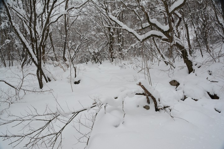 태백산이미지
