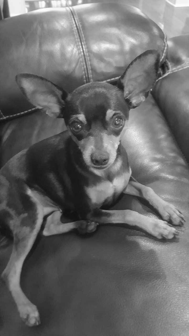 Lucy