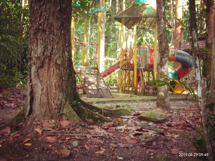 playground in jungle