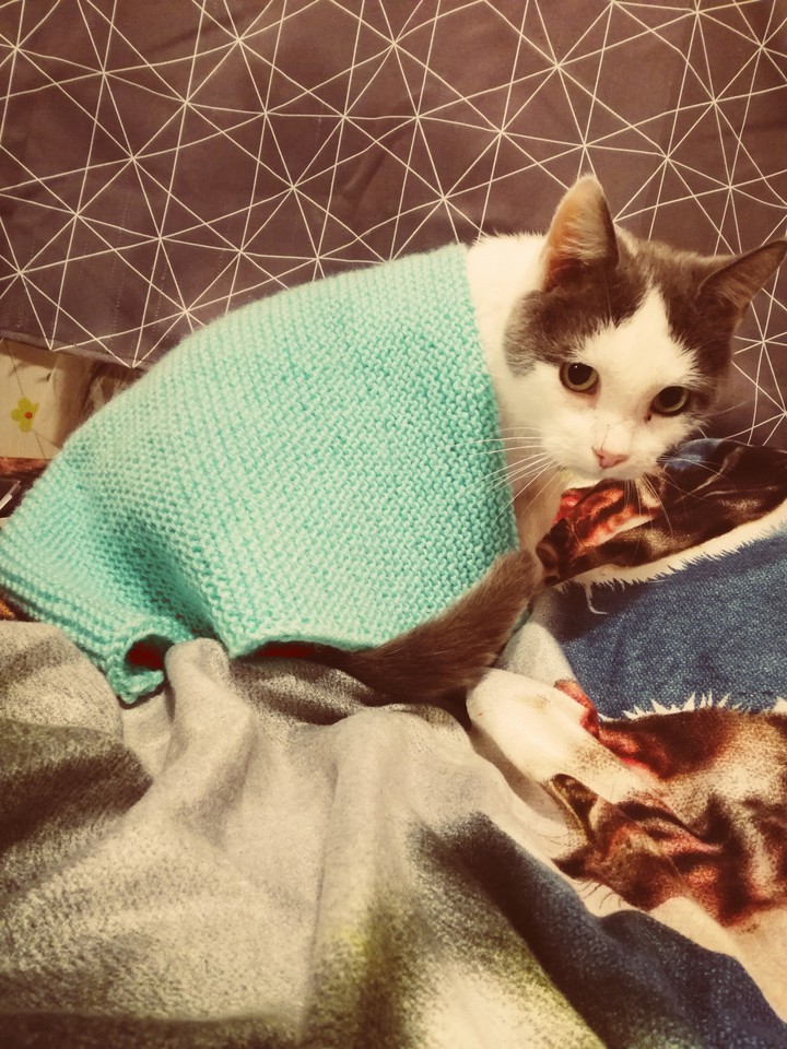 cute ?????