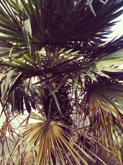 naturaleza