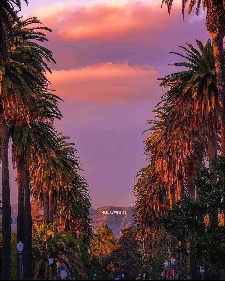 Hollywood