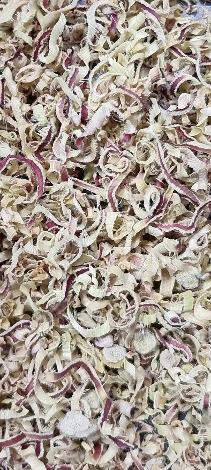 citronella