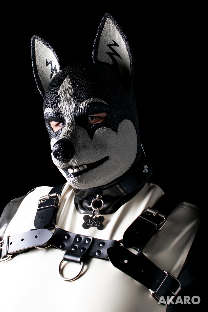 Rubber Puppy