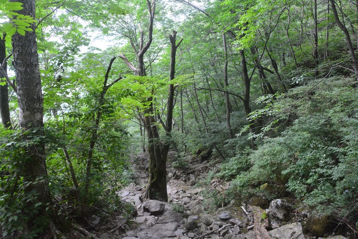 지리산이미지