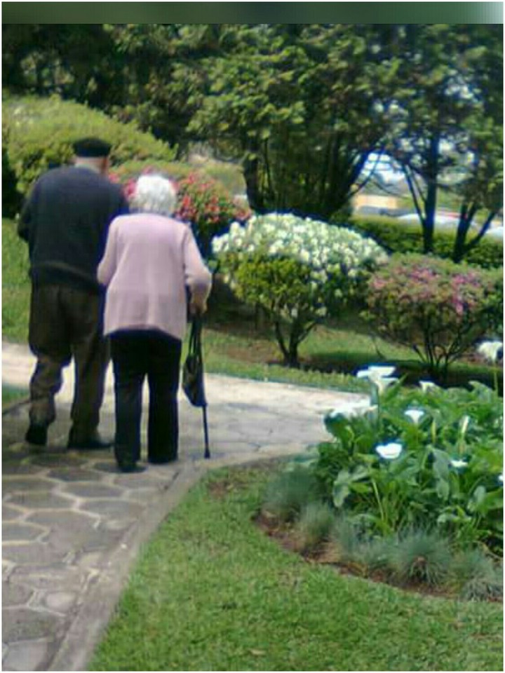 Passeio