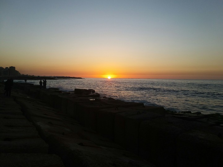 Alexandria shore