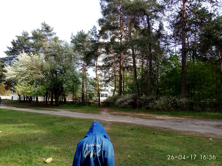 spring