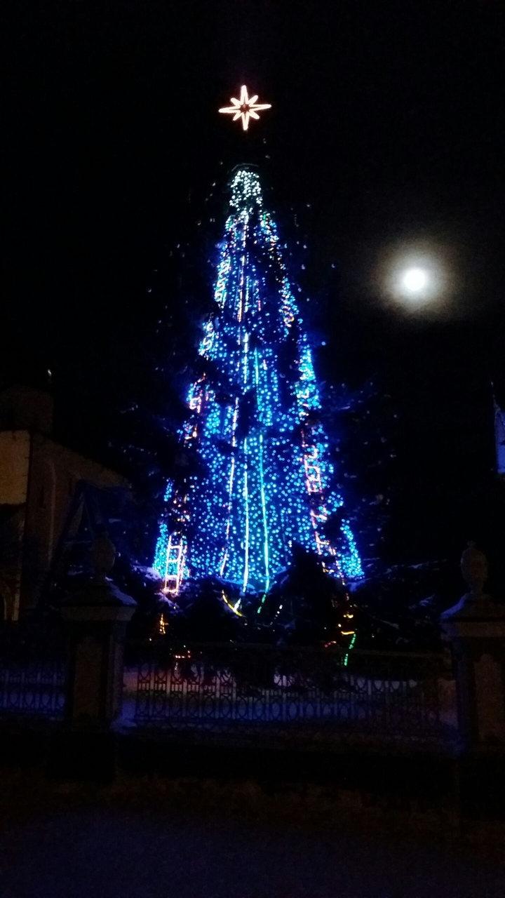 christmamas tree