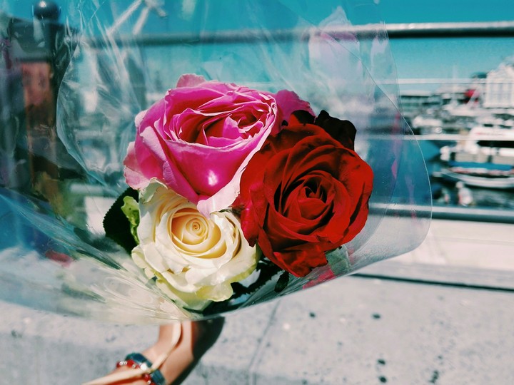 Rosy Day