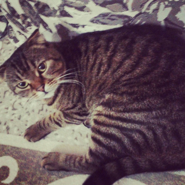 I sleep!