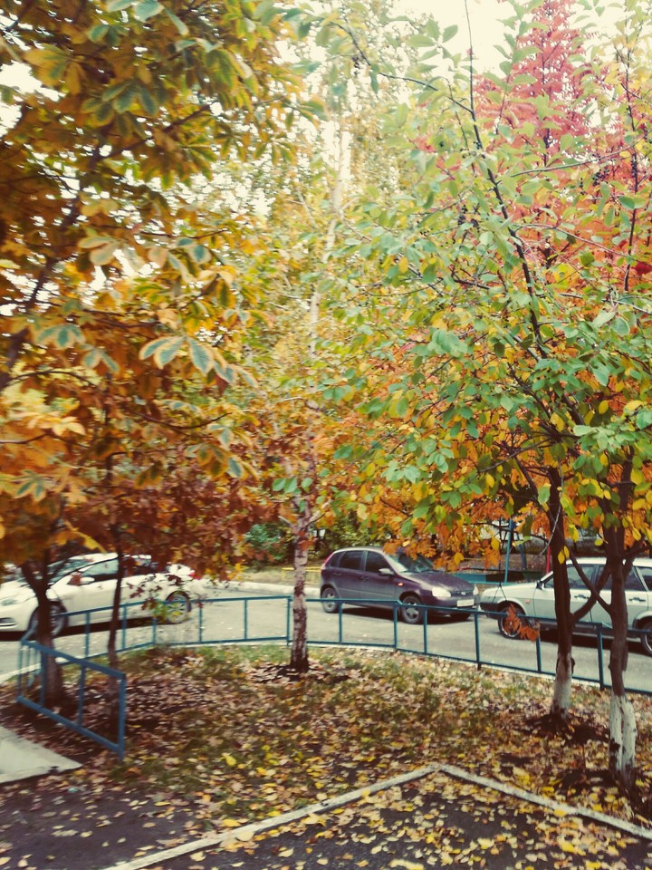 Осенний ритм.