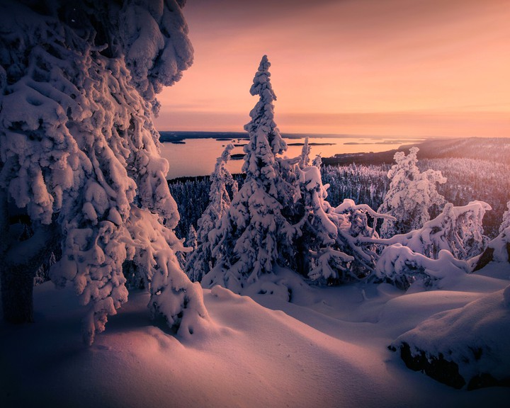 Winter