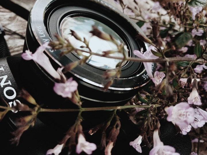 Sony Lens
