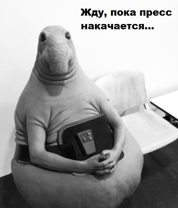 ждун