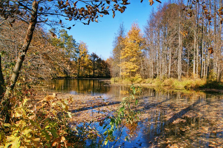 Adorable autumn