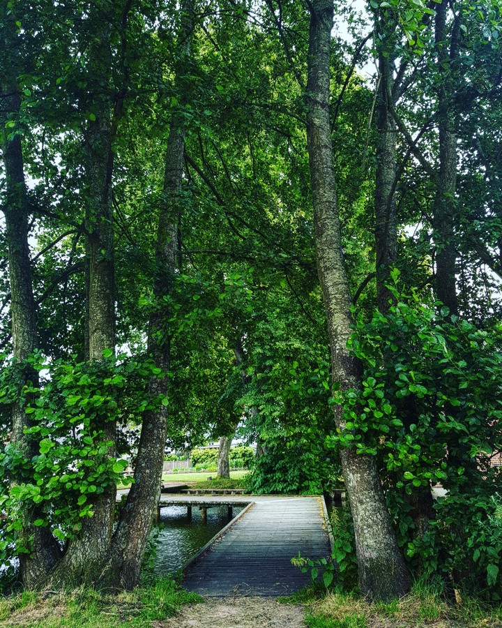 green passage