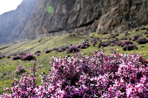kermanshah, iran