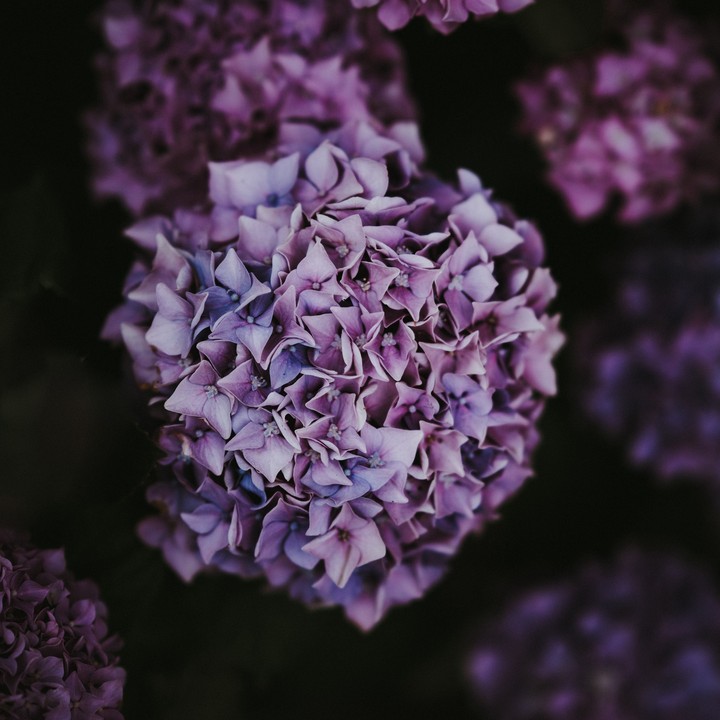 dark