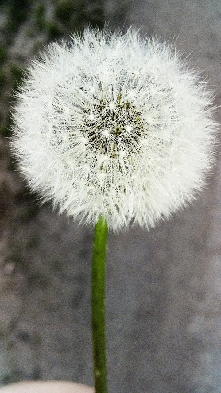 ?